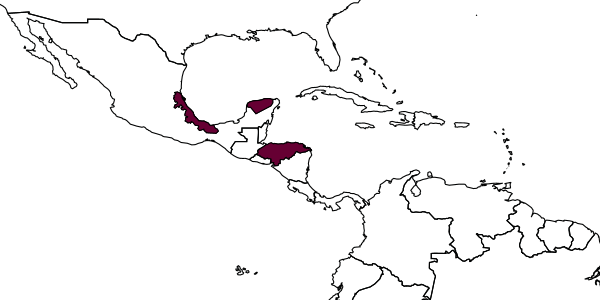 map of Bicristella carinispinis     (Cushman, 1931)